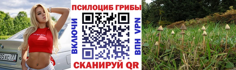 Псилоцибиновые грибы мухоморы  где найти   Норильск 