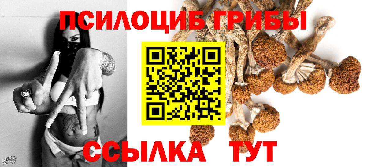 Галлюциногенные грибы мухоморы Норильск