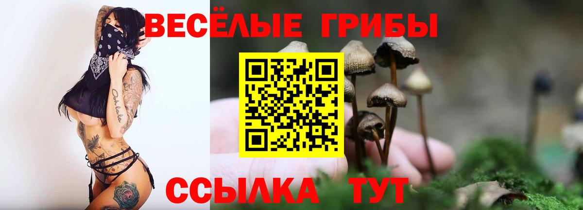 Норильск  Галлюциногенные грибы MAGIC MUSHROOMS  Галлюциногенные грибы GOLDEN TEACHER  Вход с VPN 
